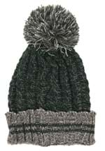 Harry Potter Heathered Slytherin Pom Beanie Alt 5