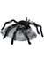 Animated Black Jumping Spider Alt 1