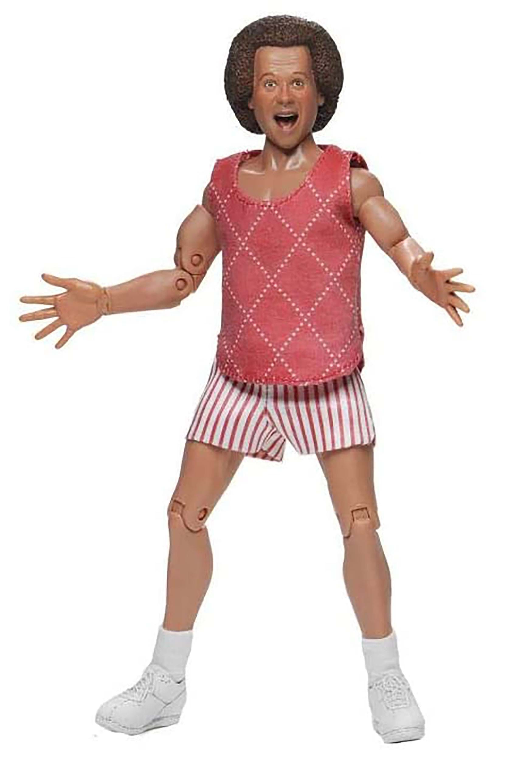 Richard Simmons 8" Clothed Collectible Action Figure