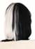 101 Dalmatians Fashion Cruella De Vil Wig Alt 1