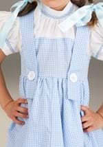 Toddler Deluxe Kansas Girl Costume Alt 3