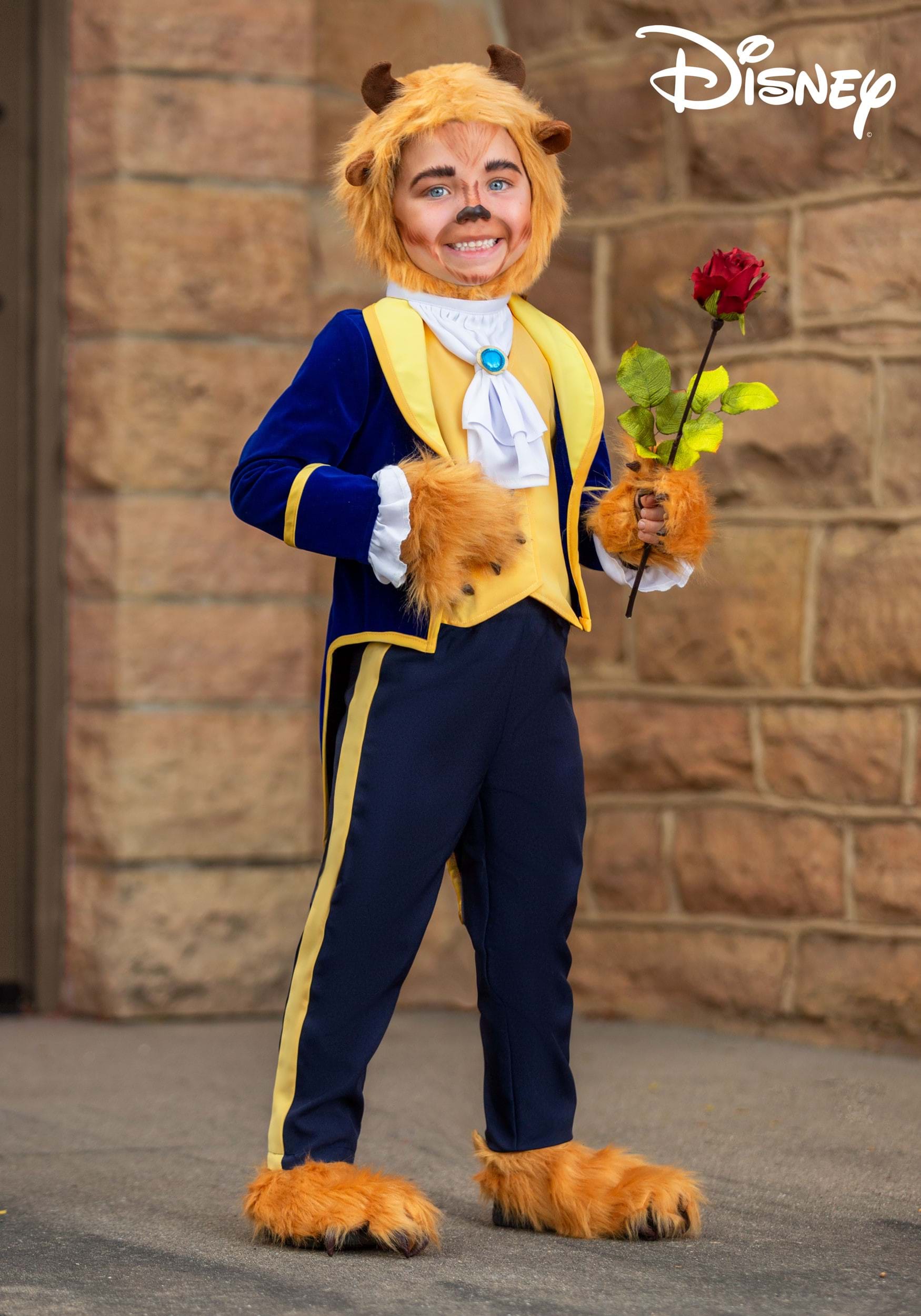 https://images.fun.com/products/69969/1-1/beauty-and-the-beast-toddler-beast-costume-2.jpg