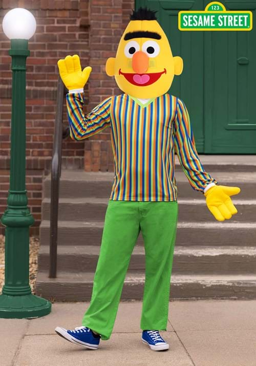 Adult Sesame Street Bert Costume