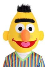 Adult Sesame Street Bert Costume Alt 1