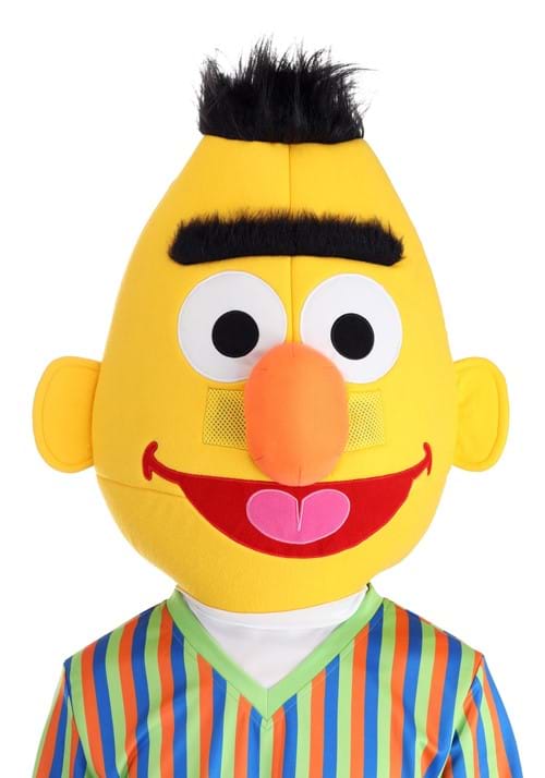 Sesame Street Bert Adult Costume