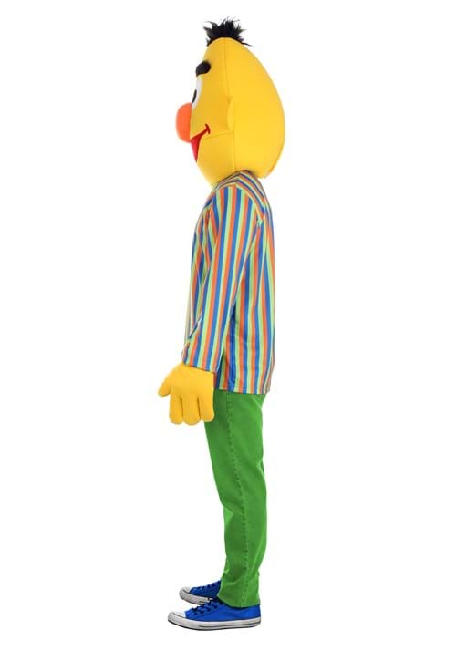 Sesame Street Bert Adult Costume