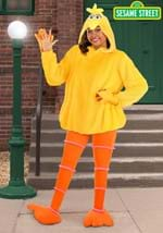 Sesame Street Cozy Big Bird Costume for Women