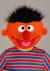 Sesame Street Ernie Mascot Costume Alt 1