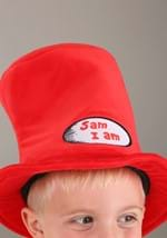 Sam I Am Toddler Costume Alt 2