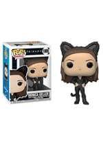 POP TV Friends Monica as Catwoman Figure-1