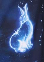 Harry Potter Patronus Adult Ugly Sweatshirt Alt 9