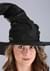 Womens Gertrude Witch Hat Alt 1