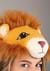 Lion Headband Tail Kit Alt 4