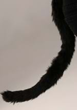 Cat Soft Headband & Tail Kit Alt 4