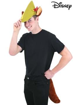 Disney Robin Hood Hat & Tail Kit