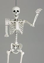 5 Ft Posable Skeleton (M38299) Alt 1