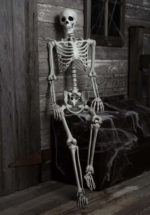 5ft Posable Skeleton