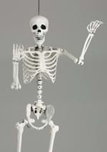 5ft Posable Skeleton Alt 5