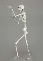 5ft Posable Skeleton Alt 6