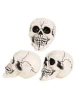 3-Pack of Large Skulls Alt 3