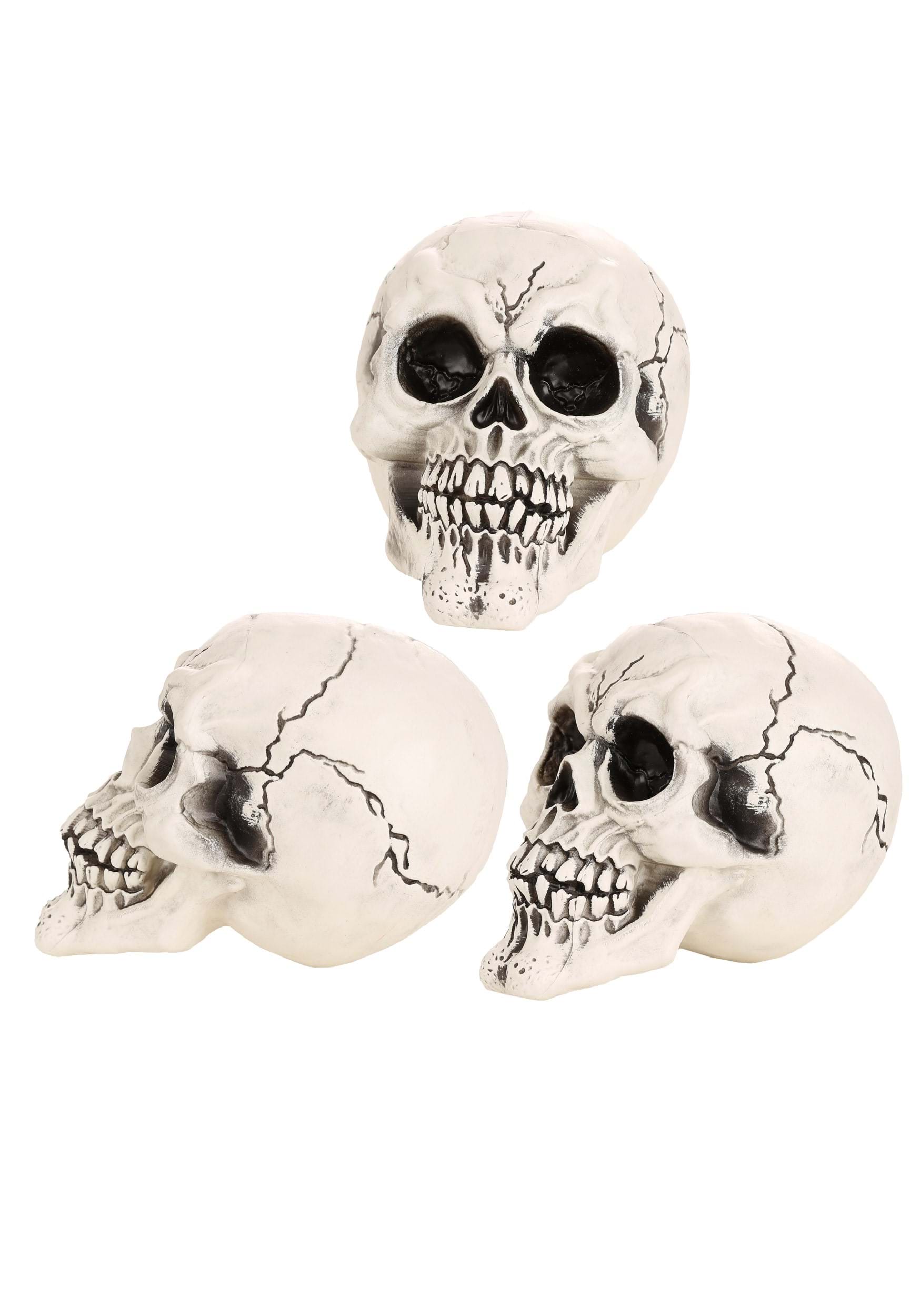 Large 3-Pack of Skulls Decoration | Halloween Decor