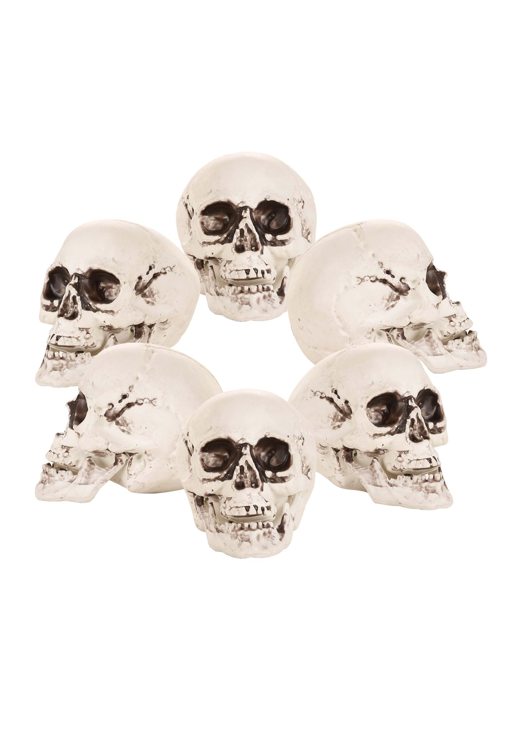 24 Prop Skulls in a Bag | Halloween Props