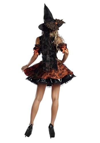 Harvest Witch Costume For Women 2444