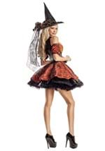 Women's Harvest Witch Costume Alt 2