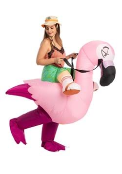 Inflatable Adult Flamingo Ride-On Costume