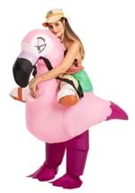 Inflatable Adult Flamingo Ride-On Costume Alt 3