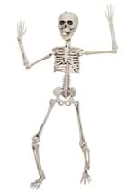 20" Poseable Skeleton Alt 3