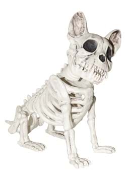 Skeleton Dog Prop