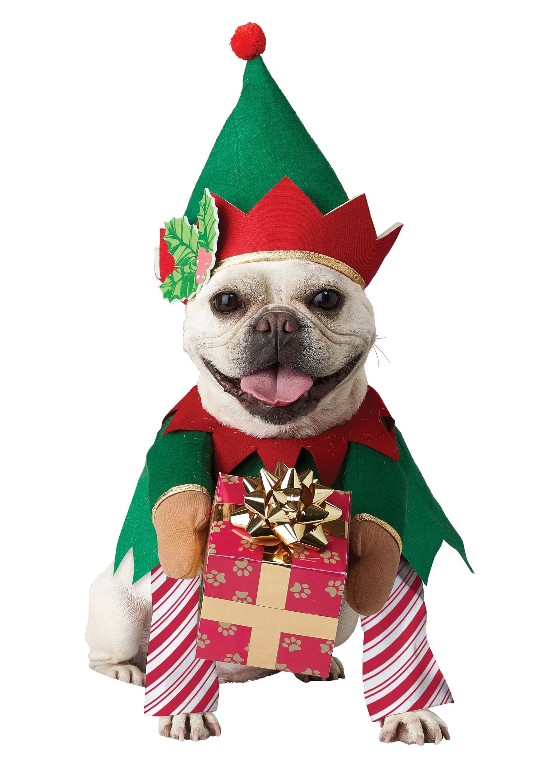 Photos - Fancy Dress ELF FUN Costumes Christmas  Pet Costume | Holiday Pet Costumes Green/Re 