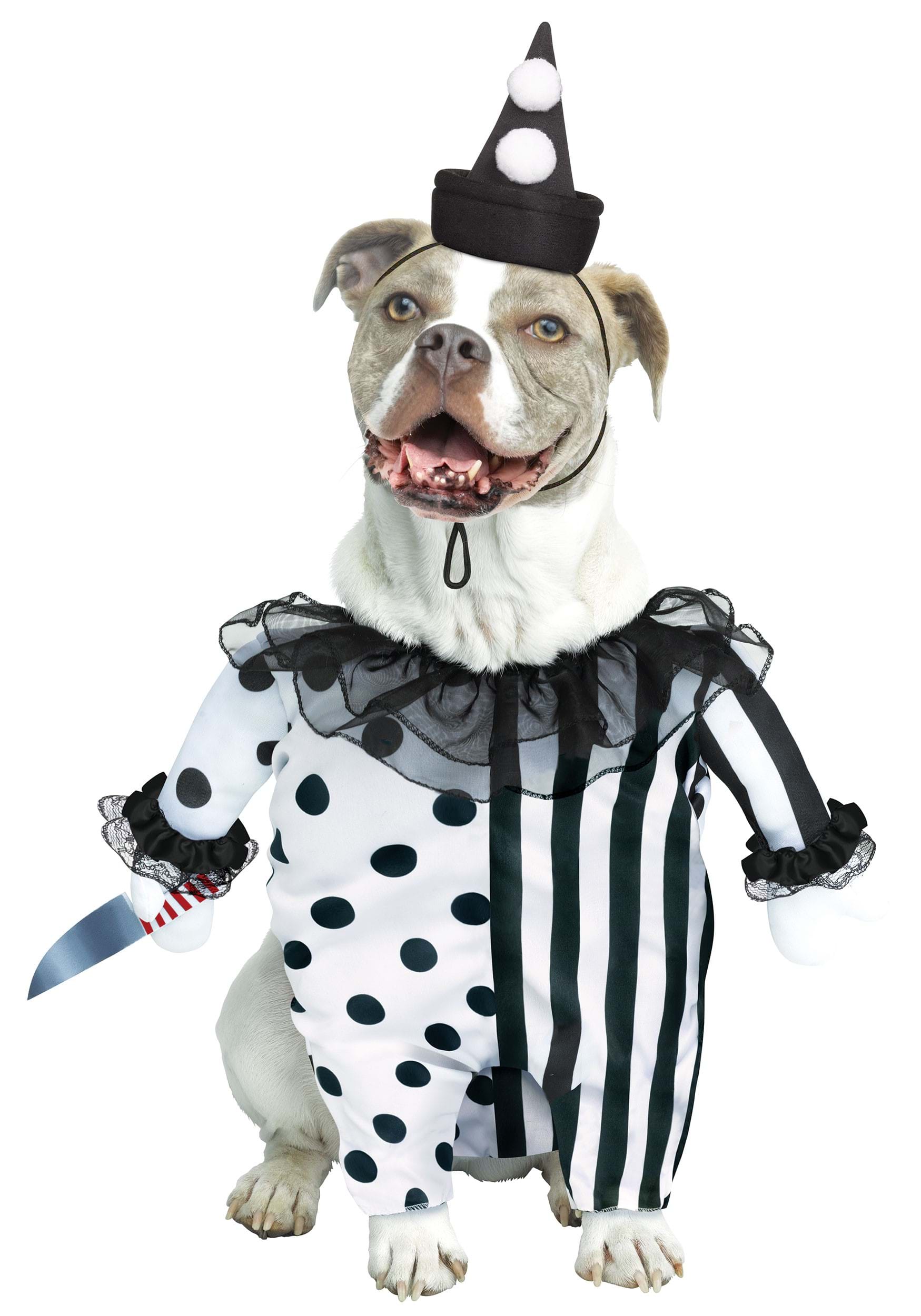 Photos - Fancy Dress Clown Fun World Pet Evil  Costume Black/White FU98052KS 