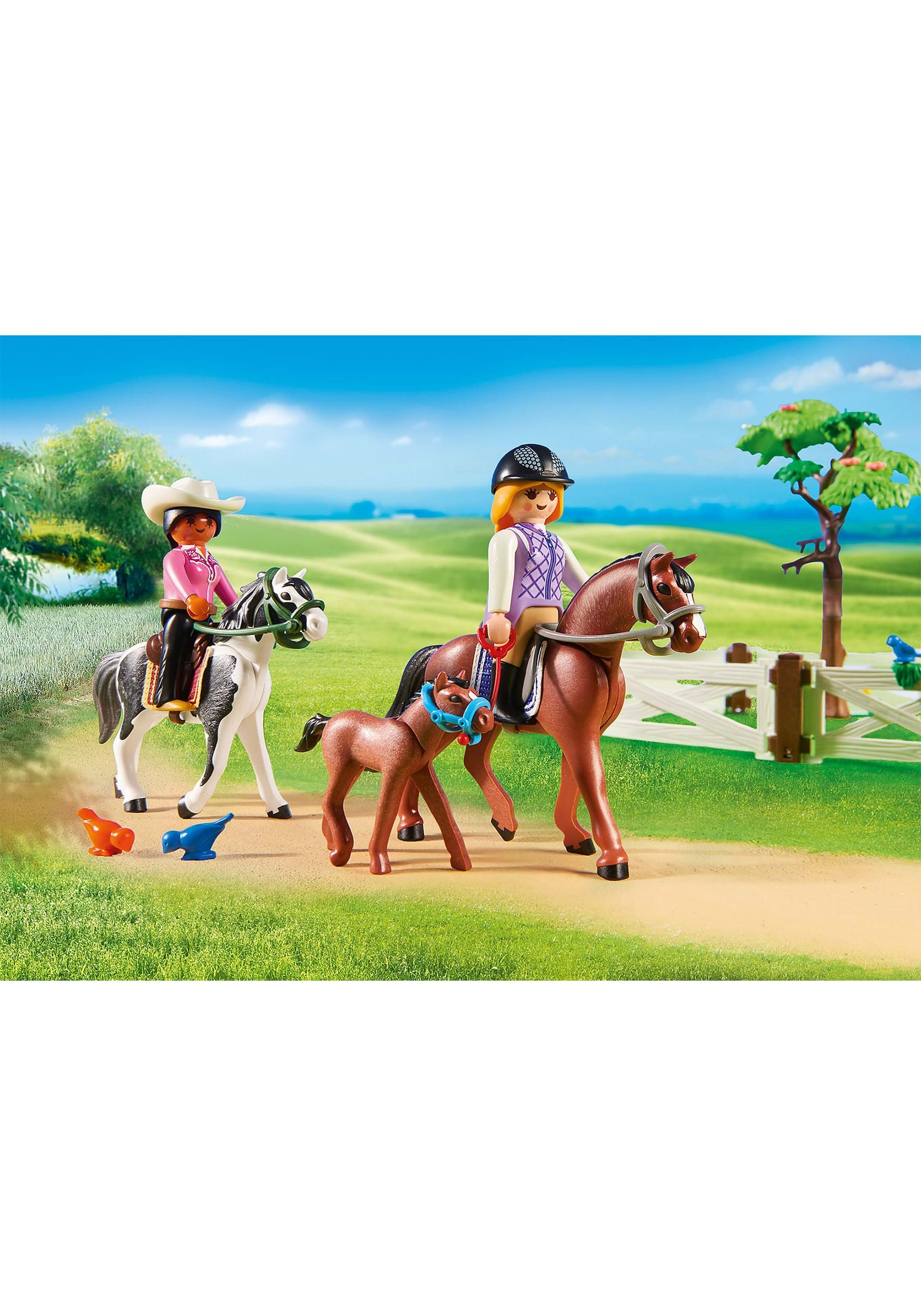 Fall Break apart See insects Playmobil - Horse Farm Building Set
