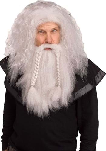 Adult Gray Wizard Wig and Beard Set