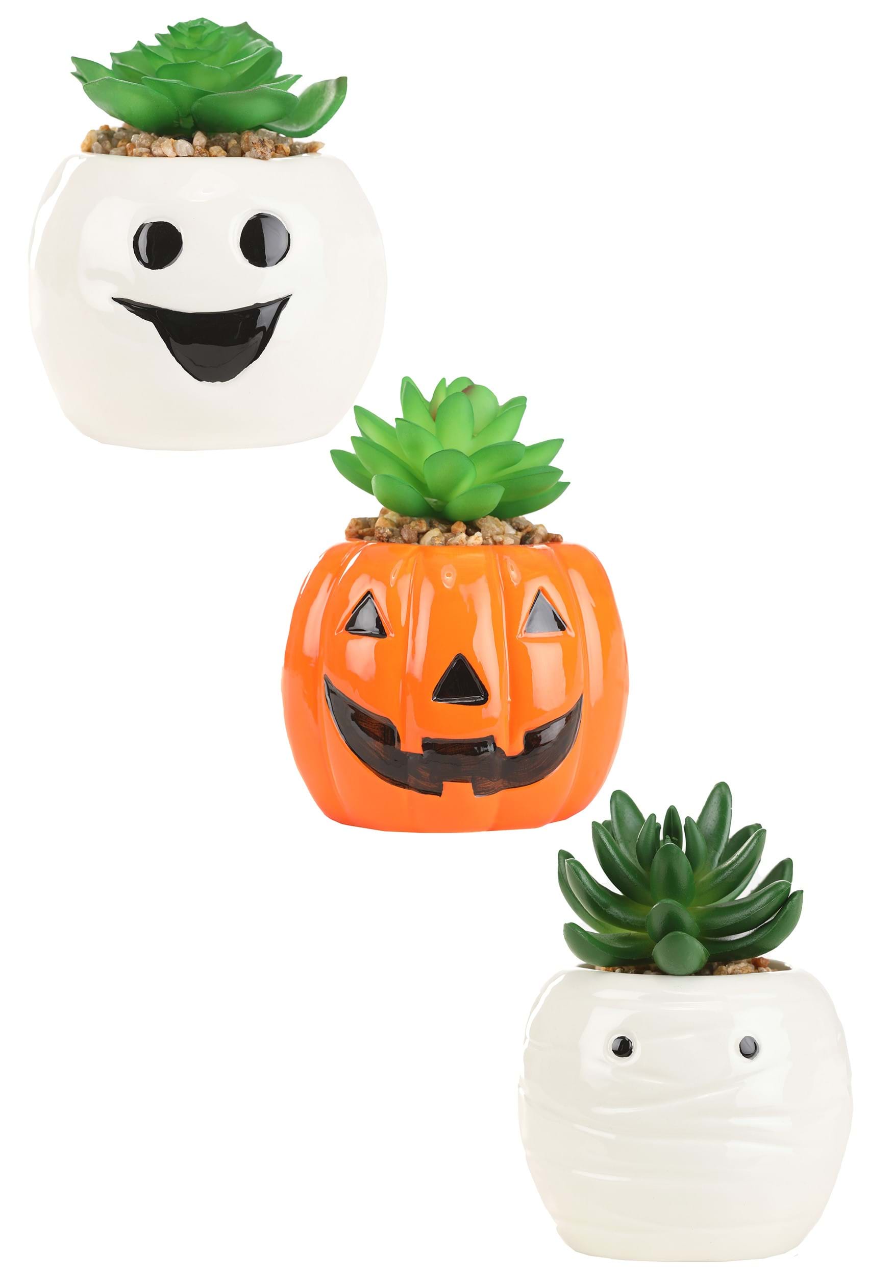 Halloween Succulent Planter Pumpkin, Mummy, and Ghost Set