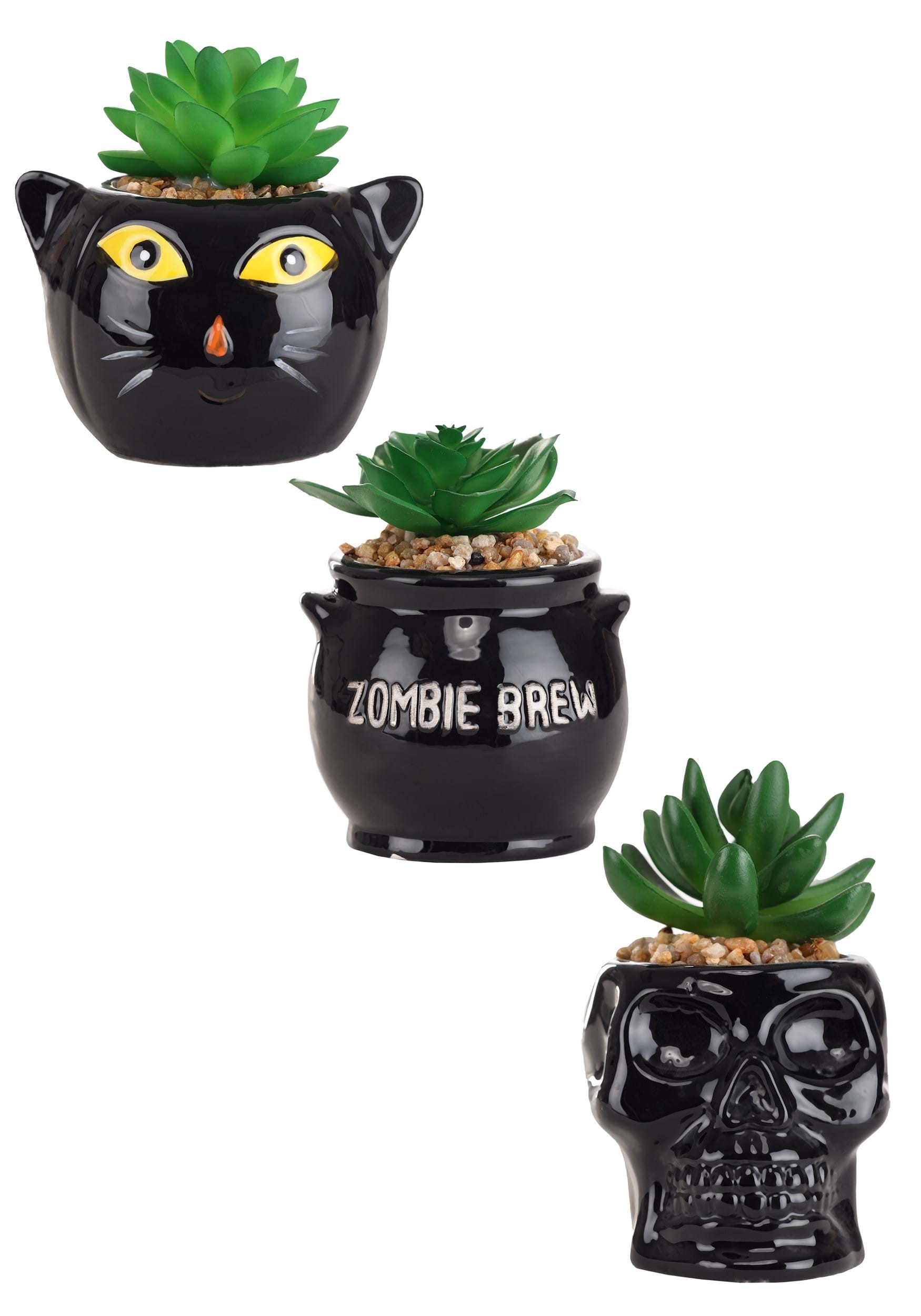 Cauldron, Cat & Skeleton Halloween Succulent Planter Set