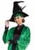 Harry Potter Adult Professor McGonagall Deluxe Costume a3