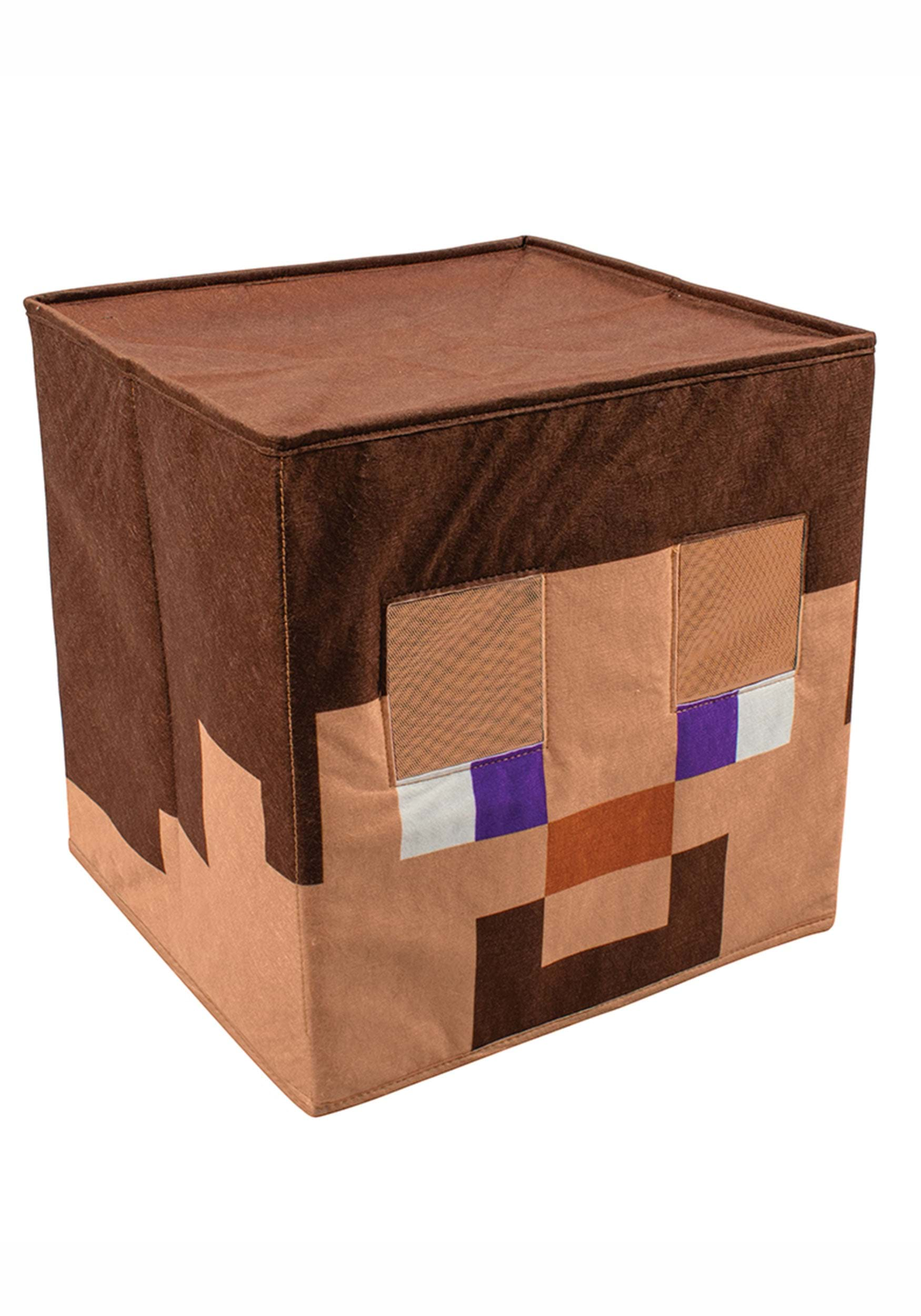 Steve Minecraft Block Head