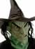 Wicked Witch Mask alt 1