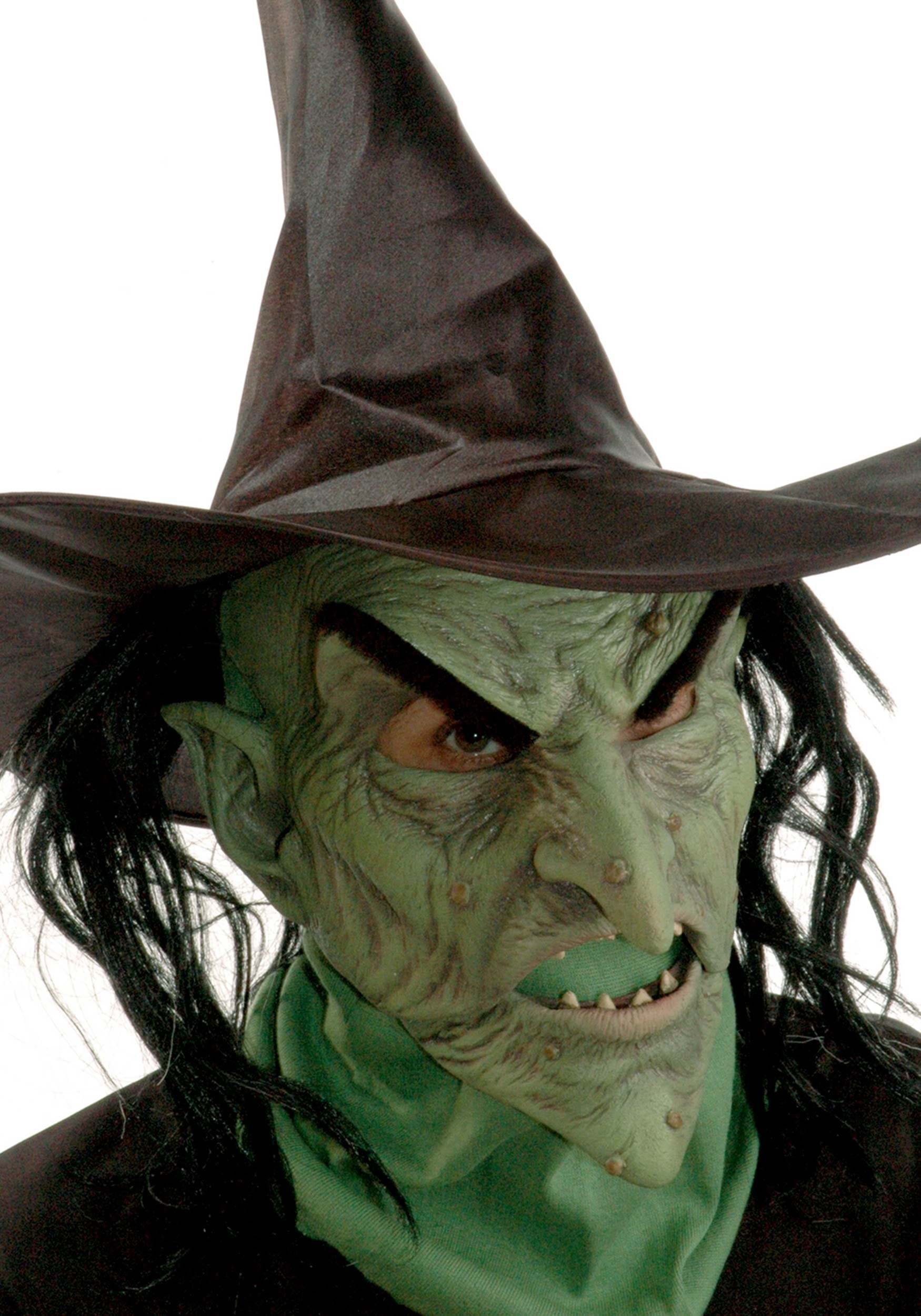 Wicked Witch Adult Mask