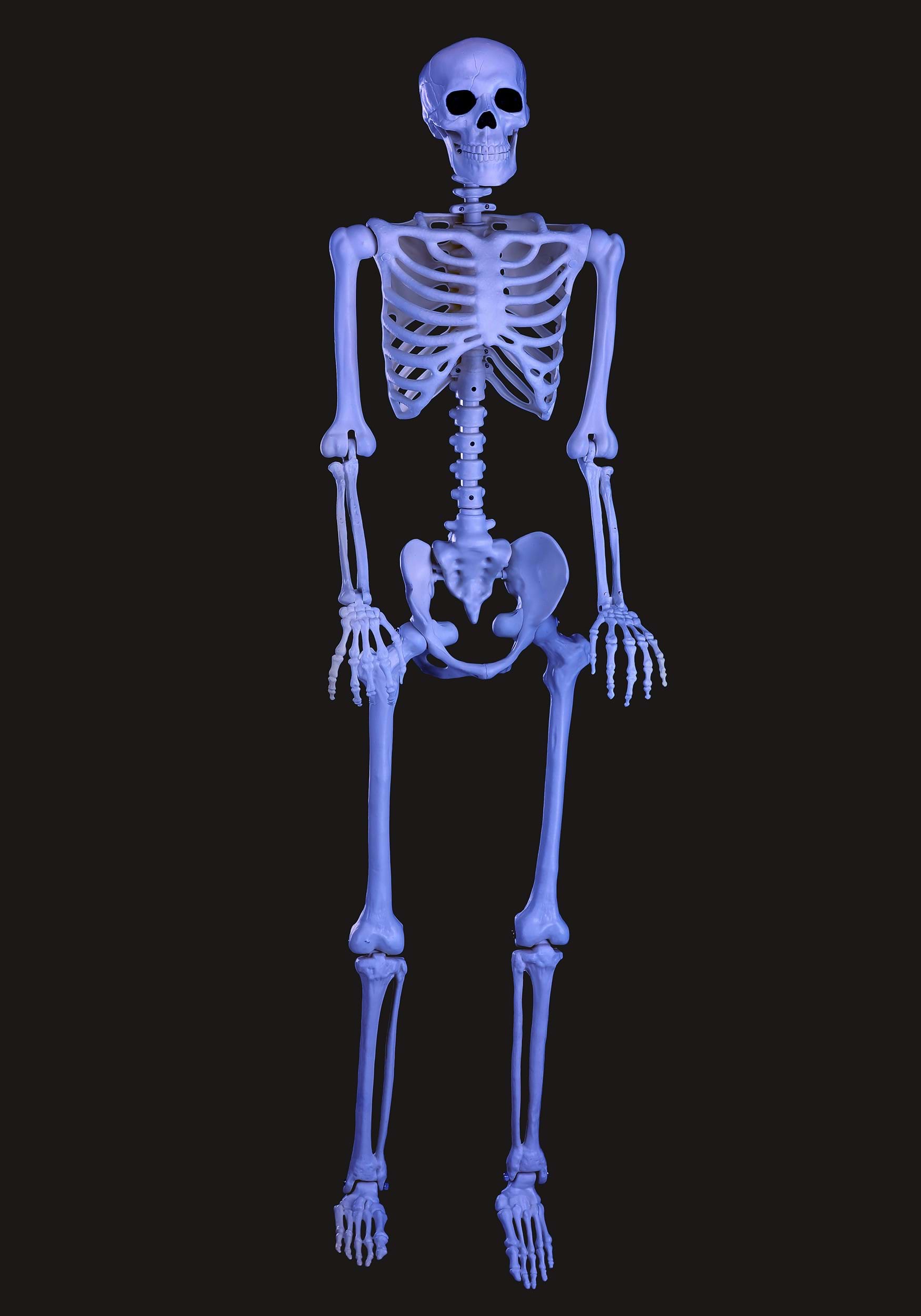 Blacklight Ghostly 60" Skeleton