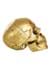 Gold Skull with Movable Jaw Alt 2