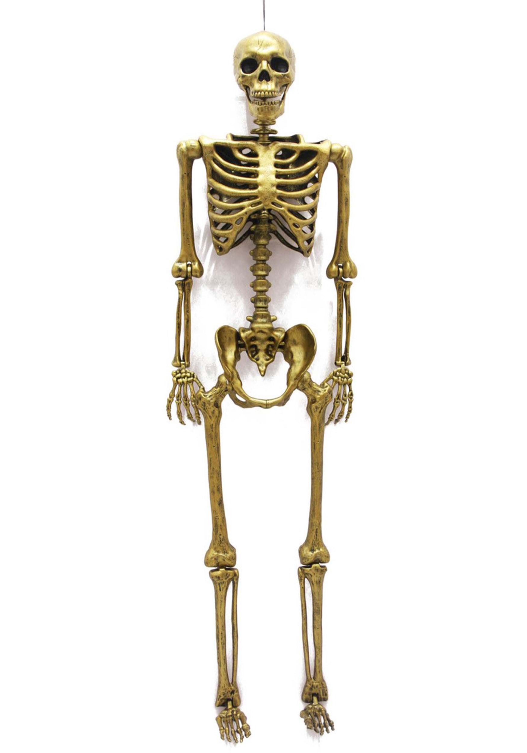 Skeleton Realistic Life-Size Human Prop, Gold, 60-in, Indoor/Outdoor  Decoration for Halloween
