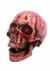 Bloody Resin Skull Prop Alt 1