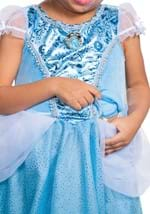 Cinderella Adaptive Costume Alt 1