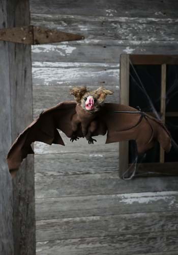 Brown Bat1