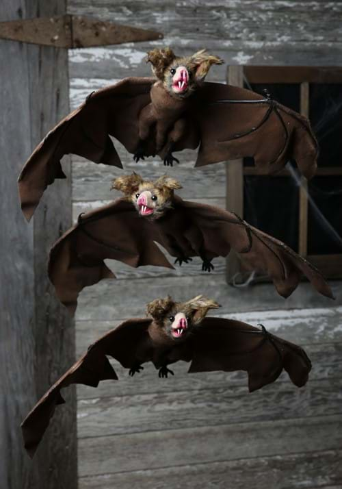 3 Pack Brown Bat1-2