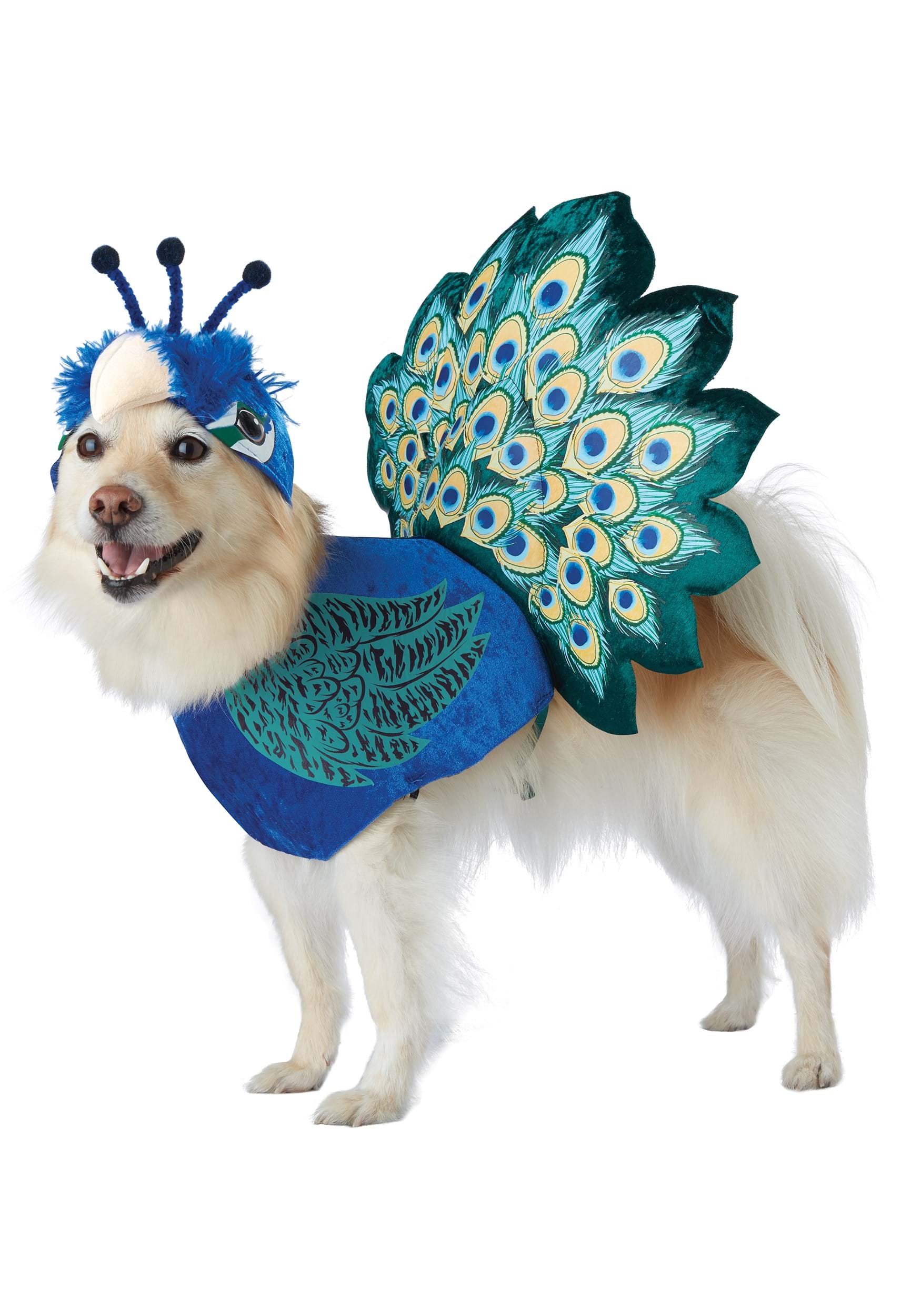 Photos - Fancy Dress California Costume Collection Pretty as a Peacock Costume for Pets Blue 